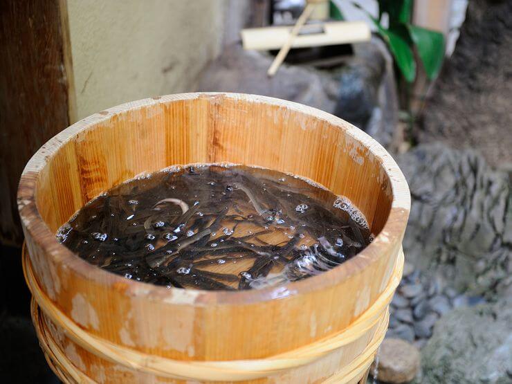 どじょうそのものの鮮度の高さは、【どぜう飯田屋】の自慢のひとつ
