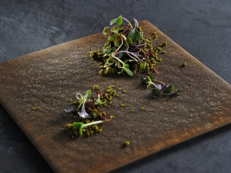すっぽんを緑茶で煮込み、煮こごりに仕上げて焼いた「風土」