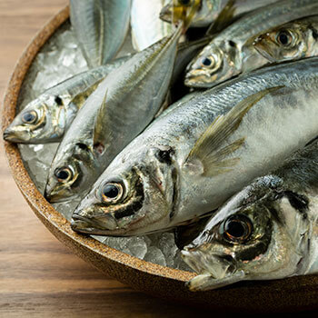 脂がのり旨味も増す「夏のアジ」